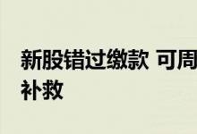 新股错过缴款 可周一补吗 新股错过缴款怎么补救