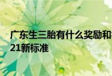 广东生三胎有什么奖励和补贴2021 广东三胎产假多少天2021新标准 