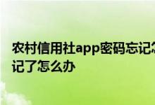 农村信用社app密码忘记怎么办 农村信用社app登录密码忘记了怎么办