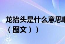 龙抬头是什么意思啊视频（龙抬头是什么意思（图文））