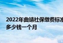 2022年曲靖社保缴费标准基数及比例一览表 曲靖个人社保多少钱一个月 