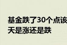 基金跌了30个点该怎么操作 怎么知道基金当天是涨还是跌
