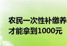 农民一次性补缴养老保险需要花多少钱 怎么才能拿到1000元 