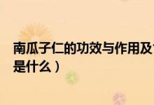 南瓜子仁的功效与作用及食用方法（南瓜子仁的功效与作用是什么）