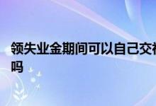 领失业金期间可以自己交社保吗 失业金领取后对社保有影响吗 