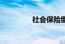 社会保险缴费计算器简介