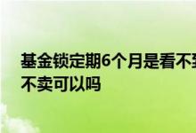 基金锁定期6个月是看不到收益的吗 基金锁定期6个月到期不卖可以吗