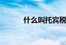 什么叫托宾税（什么是托宾税）