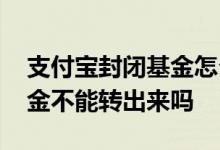支付宝封闭基金怎么卖出去 支付宝的封闭基金不能转出来吗