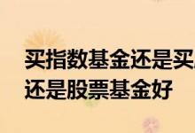 买指数基金还是买股票基金好 买指数基金好还是股票基金好