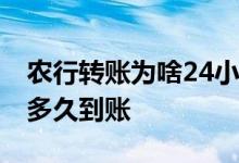农行转账为啥24小时到账 农行电话银行转账多久到账
