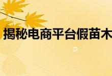 揭秘电商平台假苗木陷阱（几乎买不到真货）