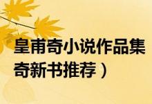 皇甫奇小说作品集（皇甫奇小说哪本好看皇甫奇新书推荐）