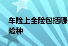 车险上全险包括哪些险种 车险全险包括哪些险种