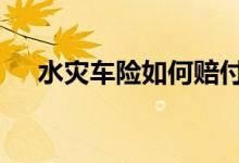 水灾车险如何赔付 水灾车险怎么赔偿的