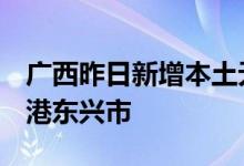 广西昨日新增本土无症状感染者4例均在防城港东兴市