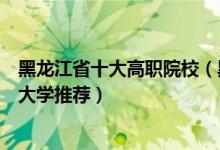 黑龙江省十大高职院校（黑龙江最好的职业学院黑龙江专科大学推荐）