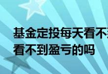基金定投每天看不到盈亏的吗 基金定投每天看不到盈亏的吗