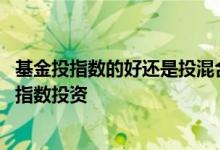 基金投指数的好还是投混合的 基金是固定时间投资好还是看指数投资