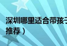 深圳哪里适合带孩子去游玩（亲子游的好去处推荐）