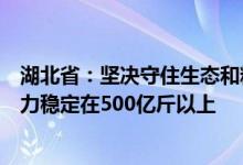湖北省：坚决守住生态和粮食安全底线确保粮食综合生产能力稳定在500亿斤以上