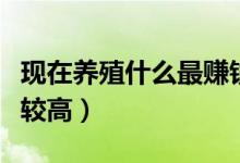 现在养殖什么最赚钱（这几个项目挣钱利润比较高）