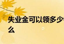 失业金可以领多少钱 领取失业金的条件是什么 