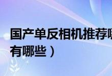 国产单反相机推荐哪个牌子（单反相机国产的有哪些）