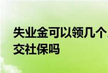 失业金可以领几个月 领失业金期间可以自己交社保吗 