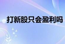 打新股只会盈利吗 股票打新股都不会亏吗