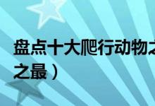 盘点十大爬行动物之最（爬行动物有哪些世界之最）