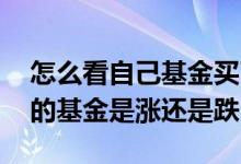 怎么看自己基金买了跌还是涨 怎么知道想买的基金是涨还是跌