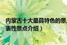 内蒙古十大最具特色的景点（内蒙古特色景点排名内蒙古代表性景点介绍）