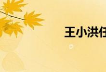 王小洪任公安部部长