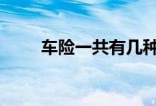 车险一共有几种 车险一般要那几样