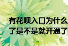 有花呗入口为什么就是开通不了 有花呗入口了是不是就开通了