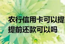 农行信用卡可以提前还款吗 请问农行信用卡提前还款可以吗