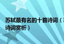 苏轼最有名的十首诗词（苏轼著名的古诗词作品苏轼经典古诗词赏析）