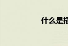 什么是插值终端储备