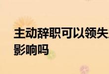 主动辞职可以领失业补助金吗 对后面就业有影响吗 
