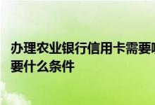 办理农业银行信用卡需要哪些条件 办理中国农业银行信用卡要什么条件