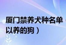 厦门禁养犬种名单（厦门哪些狗不能养厦门可以养的狗）