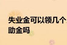 失业金可以领几个月 主动辞职可以领失业补助金吗 
