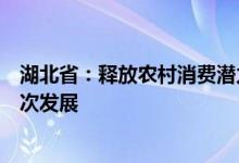 湖北省：释放农村消费潜力统筹推进全省多层级消费中心梯次发展