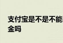 支付宝是不是不能买基金 支付宝不可以买基金吗