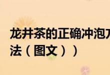 龙井茶的正确冲泡方式（龙井茶的正确冲泡方法（图文））