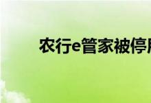 农行e管家被停用 农行e管家是什么