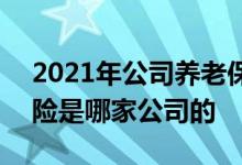2021年公司养老保险 悦未来2021养老年金险是哪家公司的