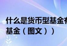 什么是货币型基金有什么特点（什么是货币型基金（图文））