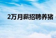 2万月薪招聘养猪（2万元招聘怎么回事）